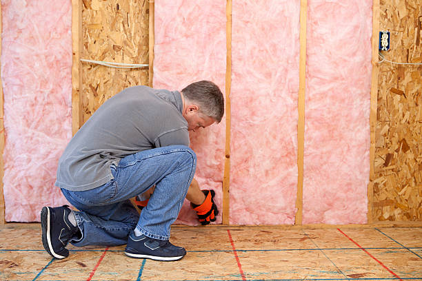 Best Eco-Friendly Insulation in Nappanee, IN